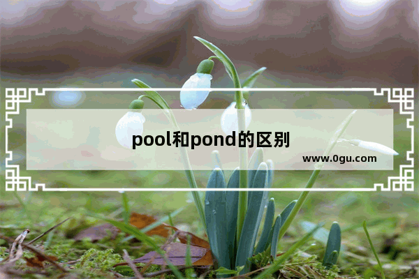 pool和pond的区别