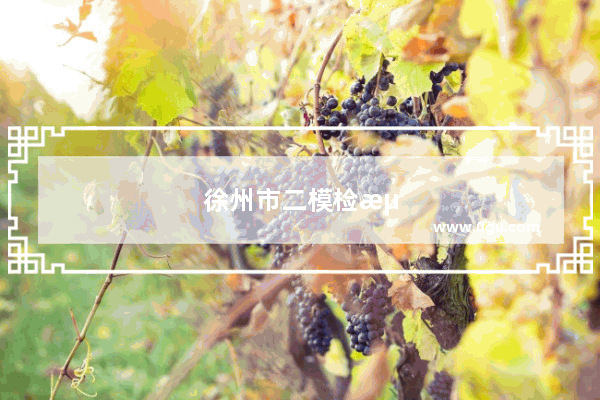徐州市二模检测英语听力的机构