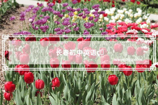 长春初中英语用什么教材