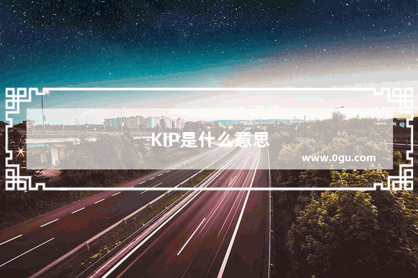 KIP是什么意思