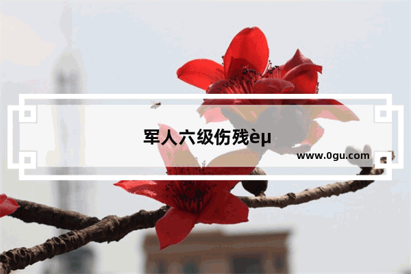 军人六级伤残赔偿标准2020