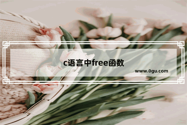 c语言中free函数怎么用