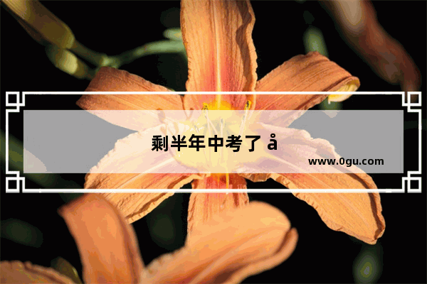 剩半年中考了 女儿同学英语才打30分 满分100分 1对1补课能提上去吗