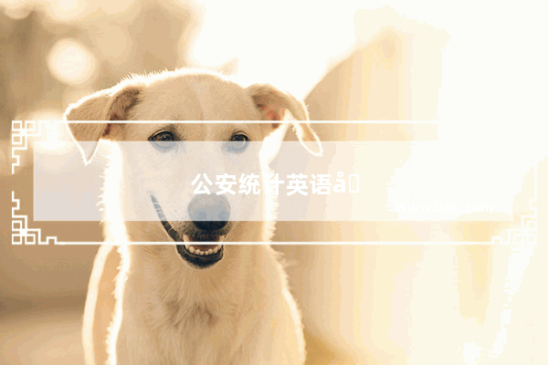 公安统计英语六级