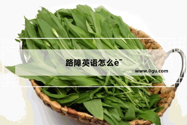 路障英语怎么说