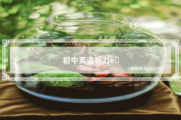 初中英语听力老师个人述职报告