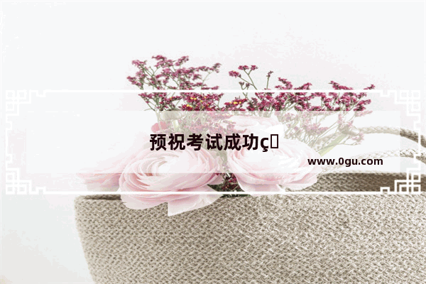 预祝考试成功的红包数字