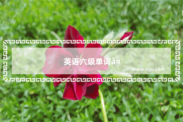 英语六级单词备考方法