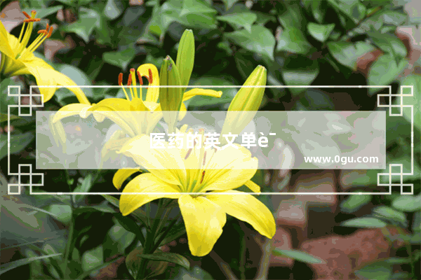 医药的英文单词