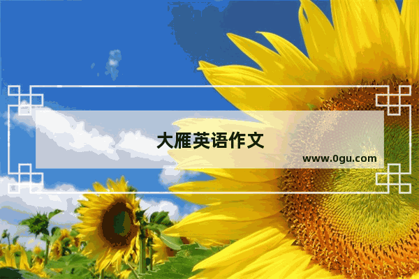 大雁英语作文