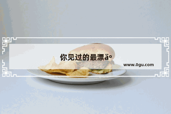 你见过的最漂亮的折纸是什么