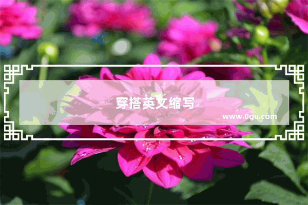 穿搭英文缩写