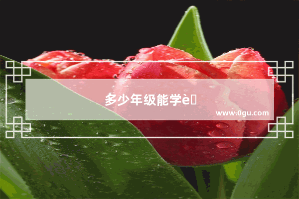 多少年级能学英语四级词汇