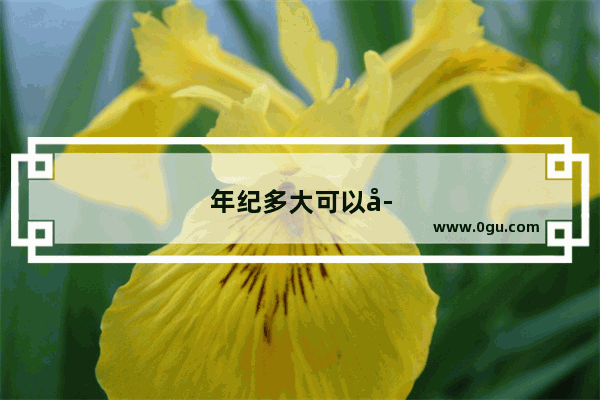 年纪多大可以学英语四级考试