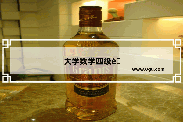 大学数学四级考什么