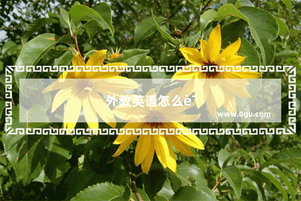 外教英语怎么说