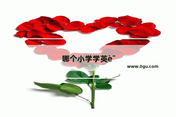 哪个小学学英语好一点