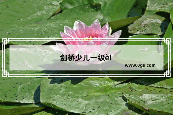 剑桥少儿一级考试10盾成绩怎么样