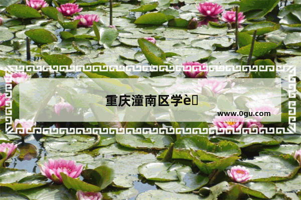 重庆潼南区学英语口语价格多少