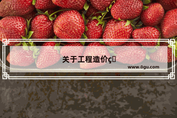 关于工程造价的英语对话