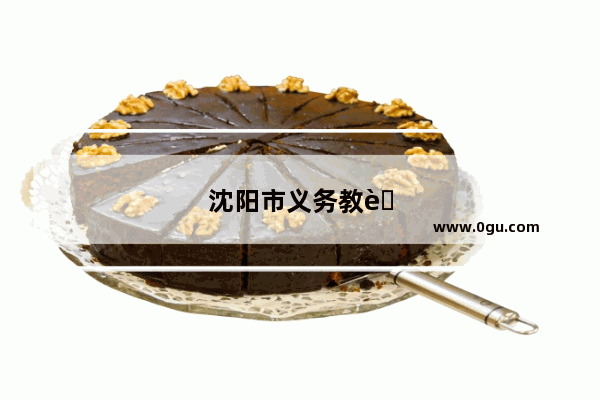 沈阳市义务教育学校管理标准