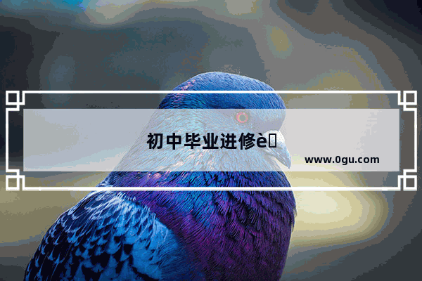 初中毕业进修英语上什么学校