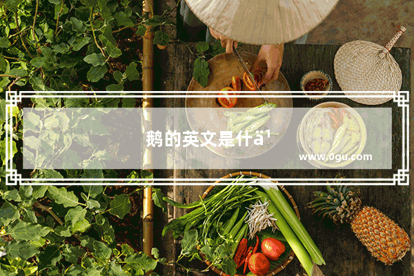 鹅的英文是什么