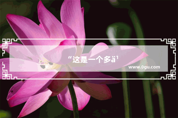 “这是一个多么有趣的故事呀！”英语翻译