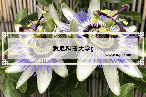悉尼科技大学研究生认可托福家考版吗