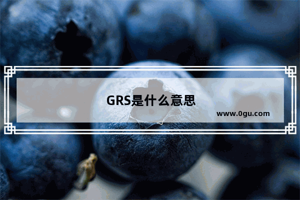 GRS是什么意思