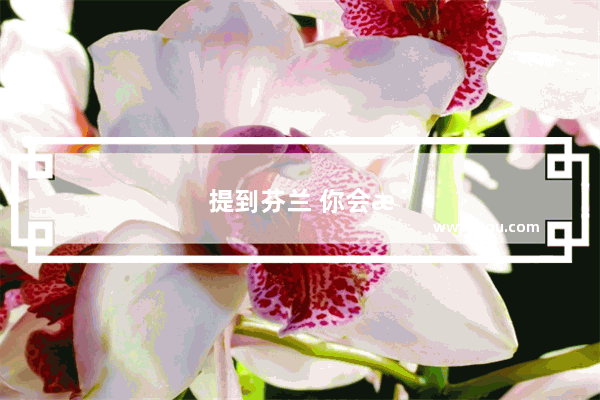 提到芬兰 你会想到什么