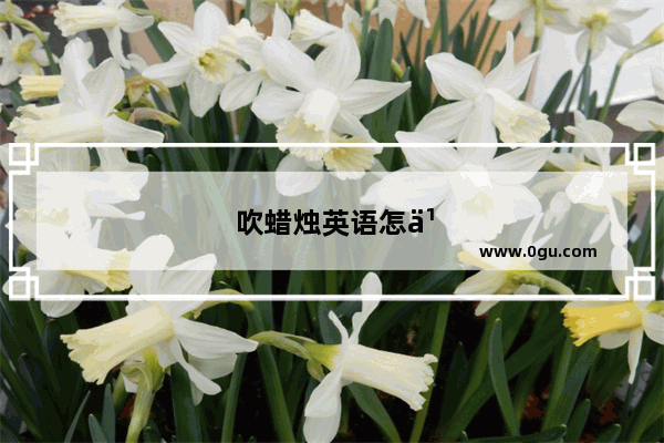 吹蜡烛英语怎么说?