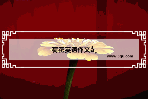 荷花英语作文带翻译