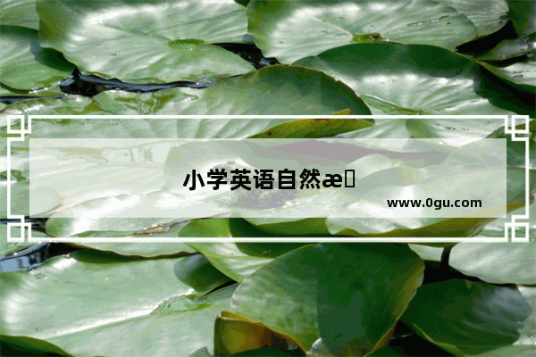 小学英语自然拼读语法大全图片