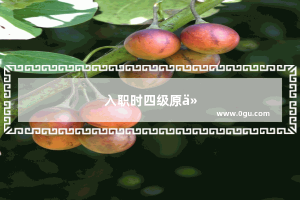 入职时四级原件丢失怎么办