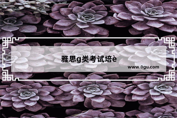 雅思g类考试培训班
