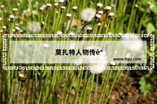 莫扎特人物传记英语50字