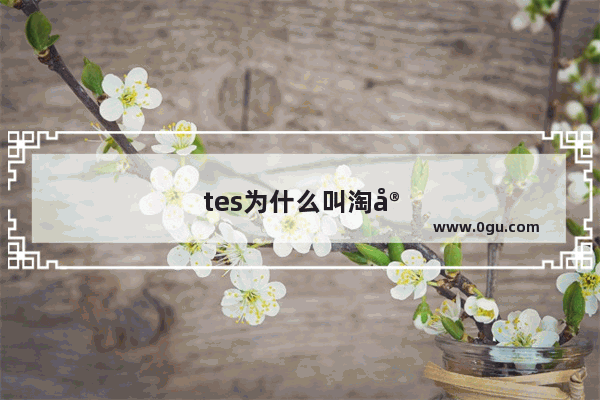 tes为什么叫淘宝