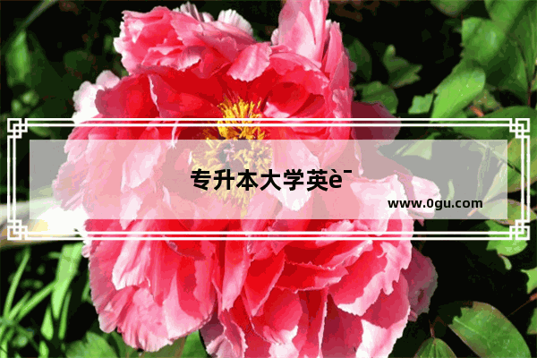 专升本大学英语语法