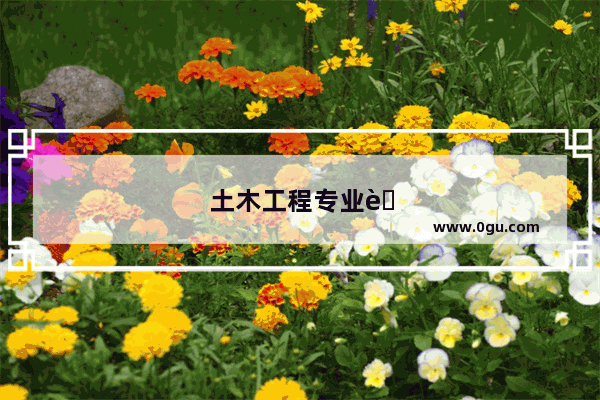 土木工程专业英语翻译用什么软件翻译好