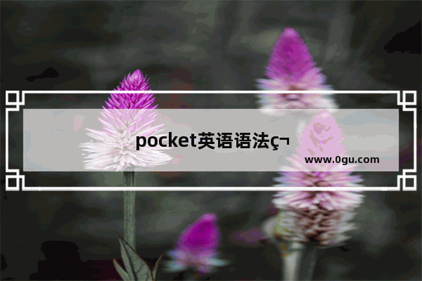 pocket英语语法笔记