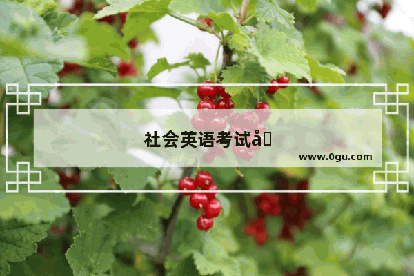 社会英语考试反思
