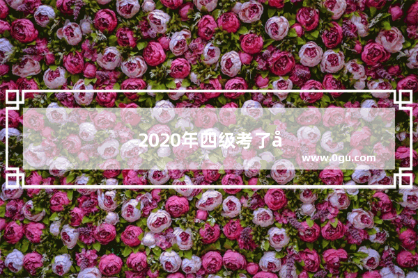 2020年四级考了多少次
