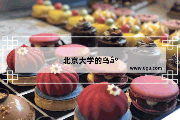 北京大学的乌尔都语怎么样