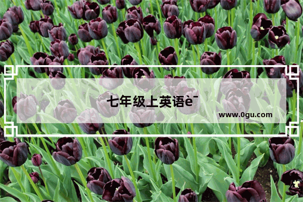 七年级上英语语法知识点归纳总结