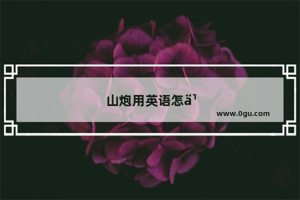 山炮用英语怎么说语音
