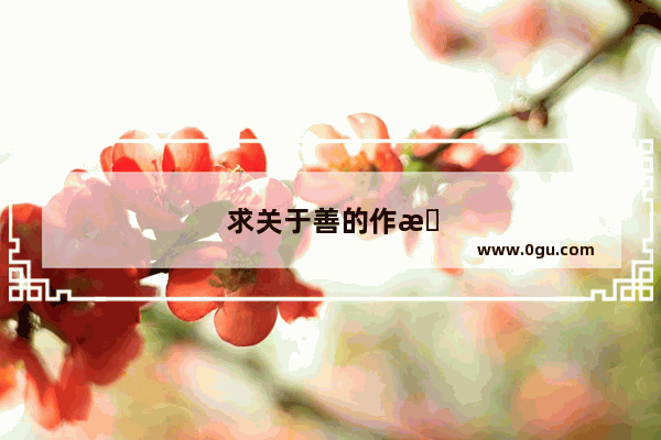 求关于善的作文开头