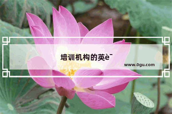 培训机构的英语教师++能做什么