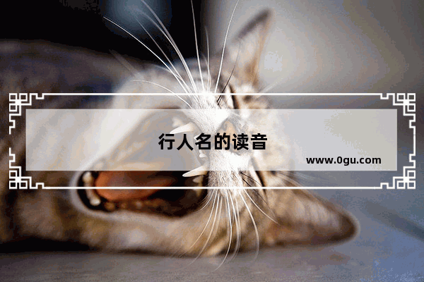 行人名的读音