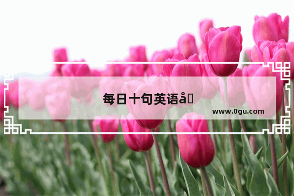 每日十句英语口语